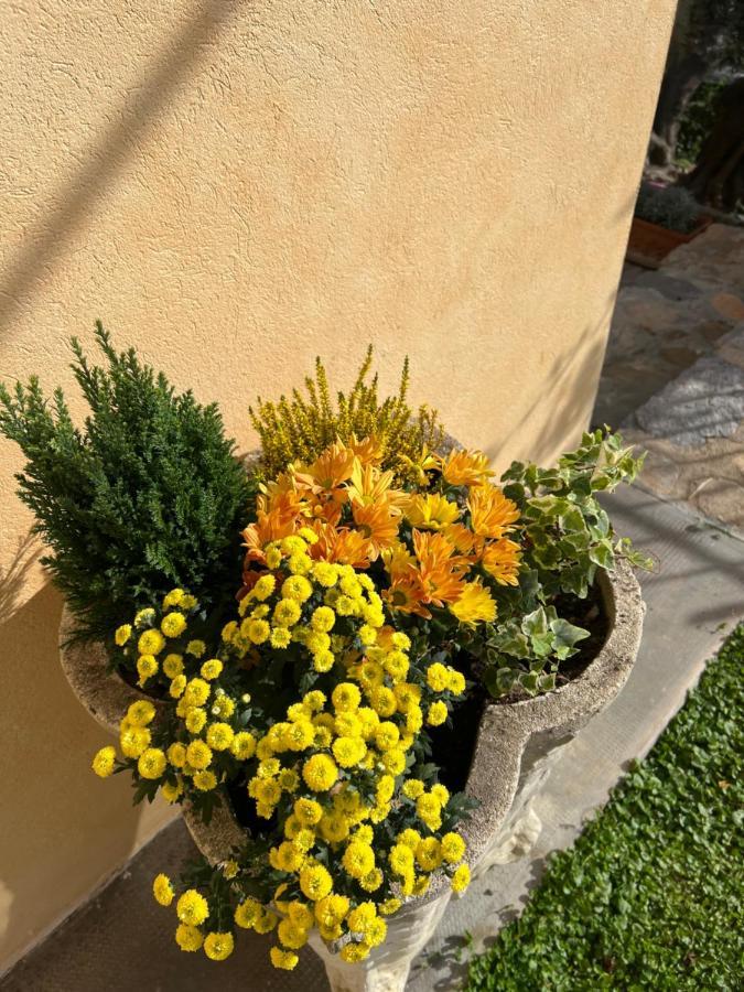 Agriturismo Le Merline Arnasco Exteriér fotografie